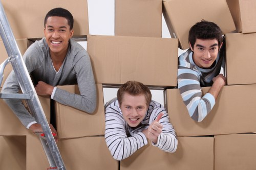 Careful transport of fragile household items